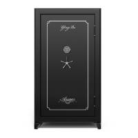 Armor series gun safe in closed state and its external decorations